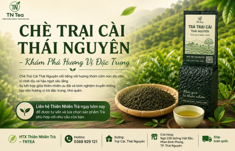 Chè Trại Cài Thái Nguyên – Khám Phá Hương Vị Đặc Trưng