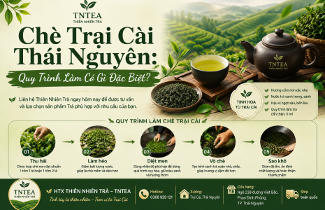 Chè Trại Cài Thái Nguyên: Quy Trình Làm Có Gì Đặc Biệt