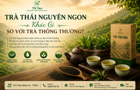 Trà Thái Nguyên Ngon Khác Gì So Với Trà Thông Thường