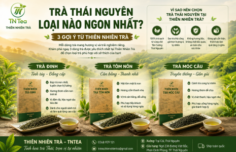 Trà Thái Nguyên Loại Nào Ngon Nhất