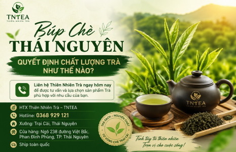 úp Chè Thái Nguyên Quyết Định Chất Lượng Trà Như Thế Nào