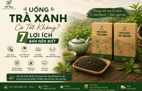 Uống Trà Xanh Có Tốt Không? 7 Lợi Ích Bạn Nên Biết