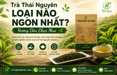 Trà Thái Nguyên Loại Nào Ngon Nhất