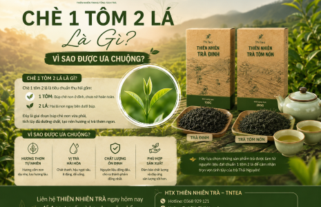 Chè 1 Tôm 2 Lá Là Gì