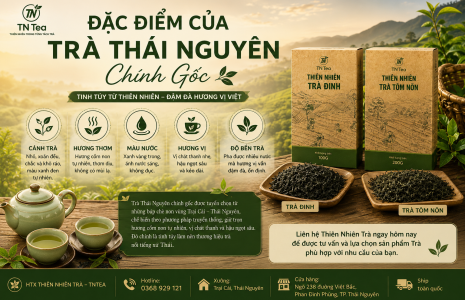 Đặc Điểm Của Trà Thái Nguyên Chính Gốc