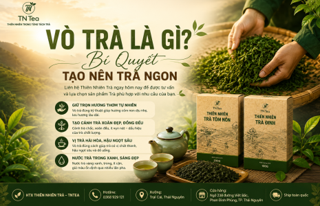 Vò Trà Là Gì? Bí Quyết Tạo Nên Trà Ngon