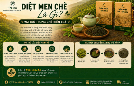 Diệt Men Chè Là Gì? Vai Trò Trong Chế Biến Trà