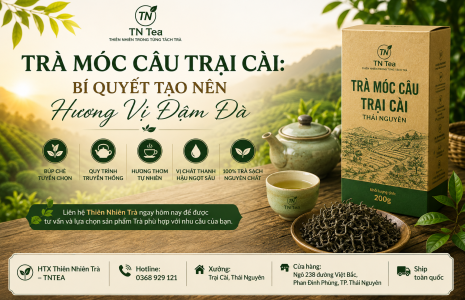 Trà Móc Câu Trại Cài: Bí Quyết Tạo Nên Hương Vị Đậm Đà