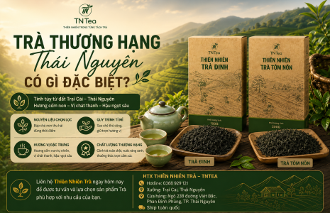 Trà Thượng Hạng Thái Nguyên Có Gì Đặc Biệt