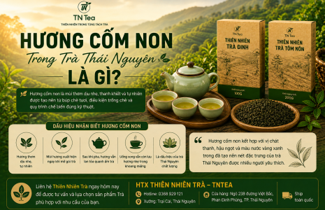Hương Cốm Non Trong Trà Thái Nguyên Là Gì