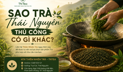 Sao Trà Thái Nguyên Thủ Công Có Gì Khác