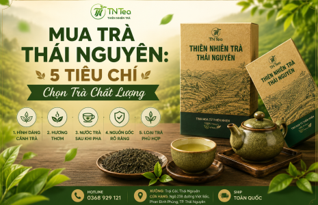 Mua Trà Thái Nguyên Chất Lượng