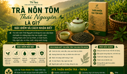 Trà Nõn Tôm Thái Nguyên Là Gì? Đặc Điểm Và Cách Nhận Biết
