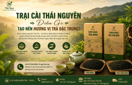 Trại Cài Thái Nguyên – Điều Gì Tạo Nên Hương Vị Trà Đặc Trưng?