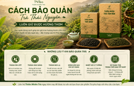 Cách Bảo Quản Trà Thái Nguyên Luôn Giữ Được Hương Thơm
