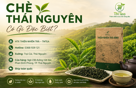 Chè Thái Nguyên Có Gì Đặc Biệt