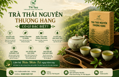 Trà Thái Nguyên Thượng Hạng Có Gì Đặc Biệt