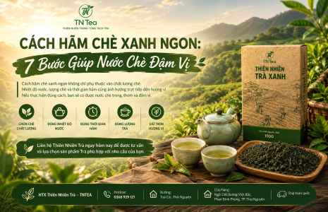 Cách Hãm Chè Xanh Ngon: 7 Bước Giúp Nước Chè Đậm Vị