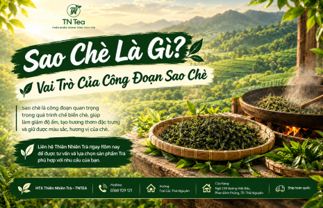 Sao Chè Là Gì? Vai Trò Của Công Đoạn Sao Chè