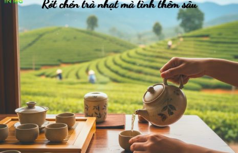 Vị trà Thái Nguyên đặc trưng với sắc nước vàng xanh trong trẻo